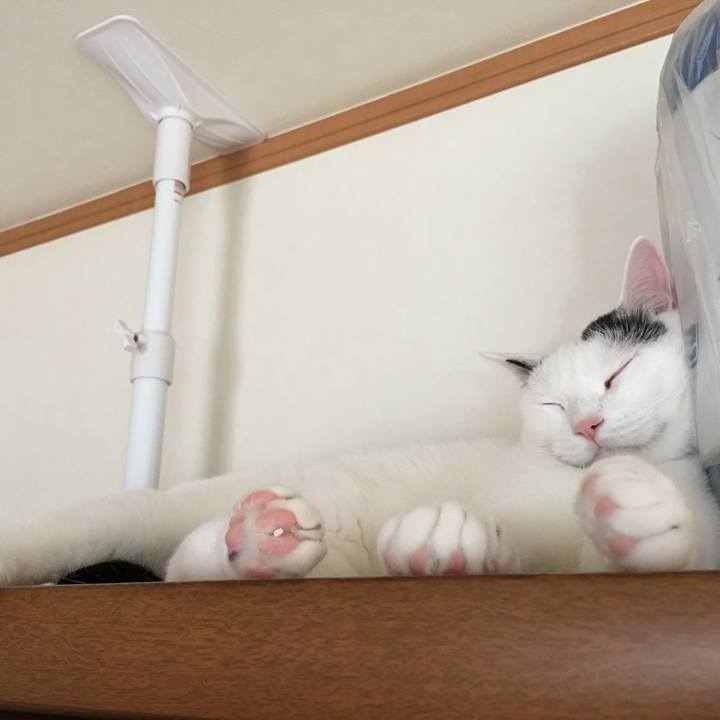 C7682f88 a90f 47a1 a0bd a4646634da13