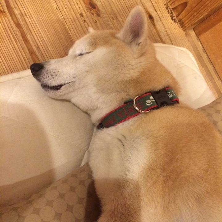 C7683db3 a918 4845 964d d39968713f17