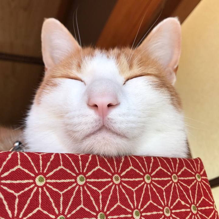 C7689682 b9fa 4a13 a507 f1a2aab19cb6