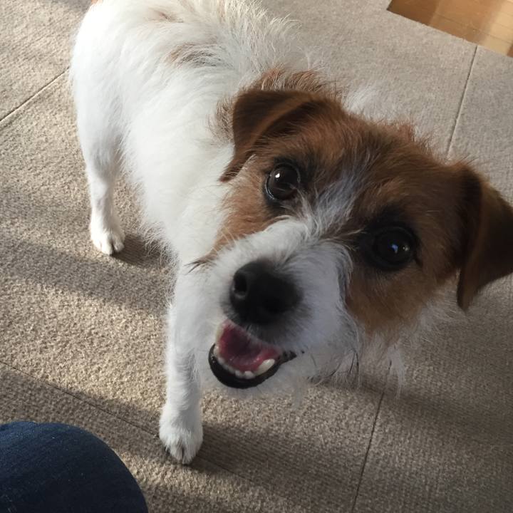 C7692773 05c9 4b94 9844 2cebff96a640