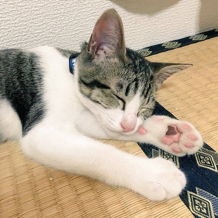 C76965a1 1739 48ed b070 9a9db10e85f7