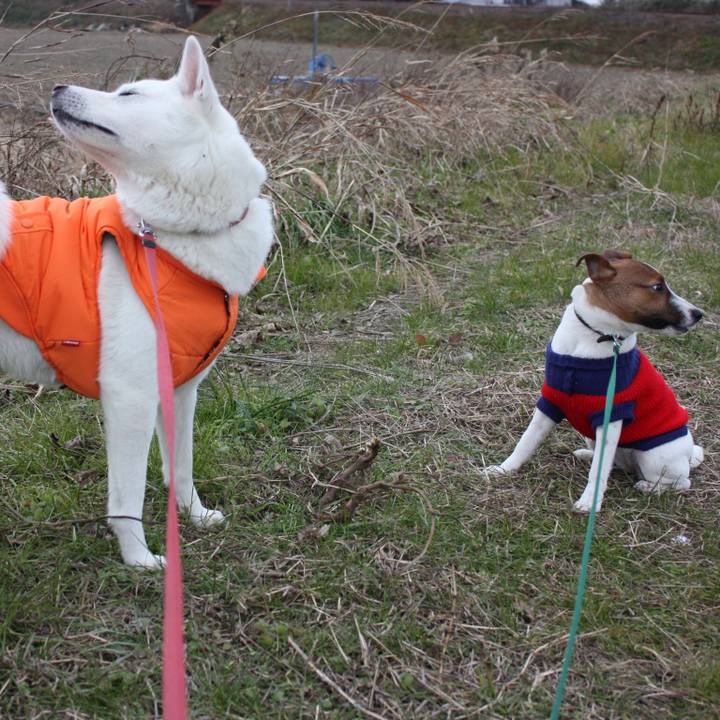 C7697831 1496 444e 9970 068d0db82228