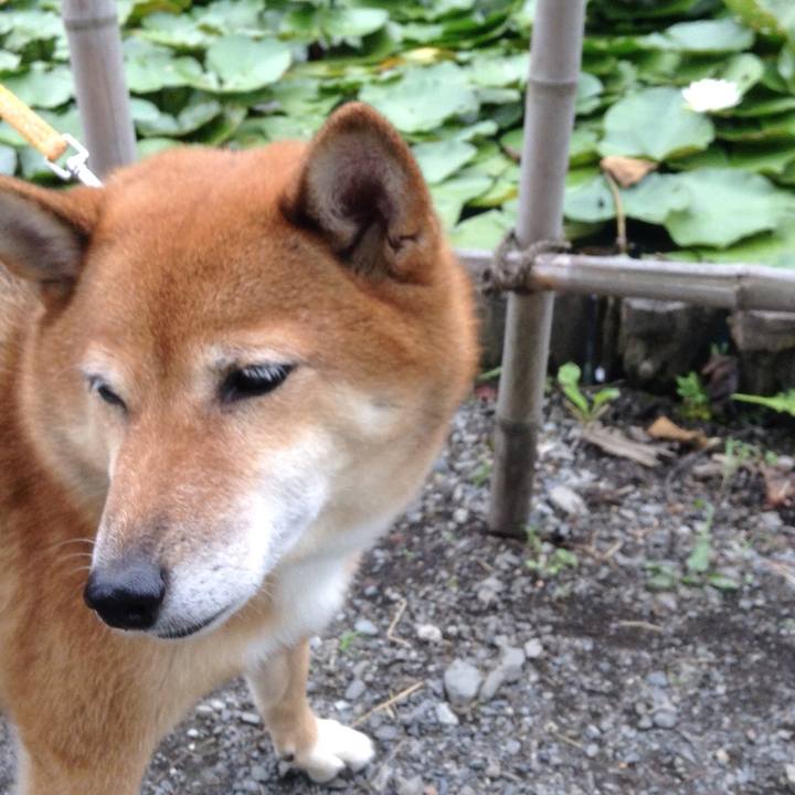 C76a2d45 d1db 495e b756 5cffa95319c2