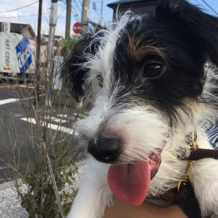 C76bce73 406d 4d9f 9cd8 7d01e11edbc6