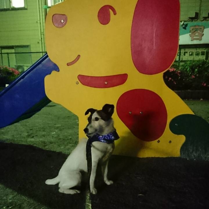 C76c8fd3 89e6 48f3 9218 1c8ed0ecc496