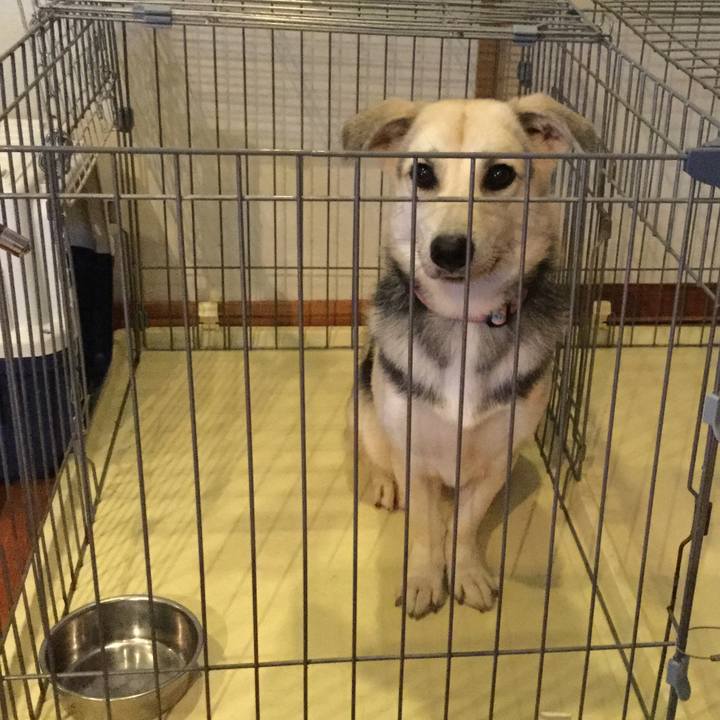 C76d1200 a31a 4c22 b3a7 c55eee6e5476