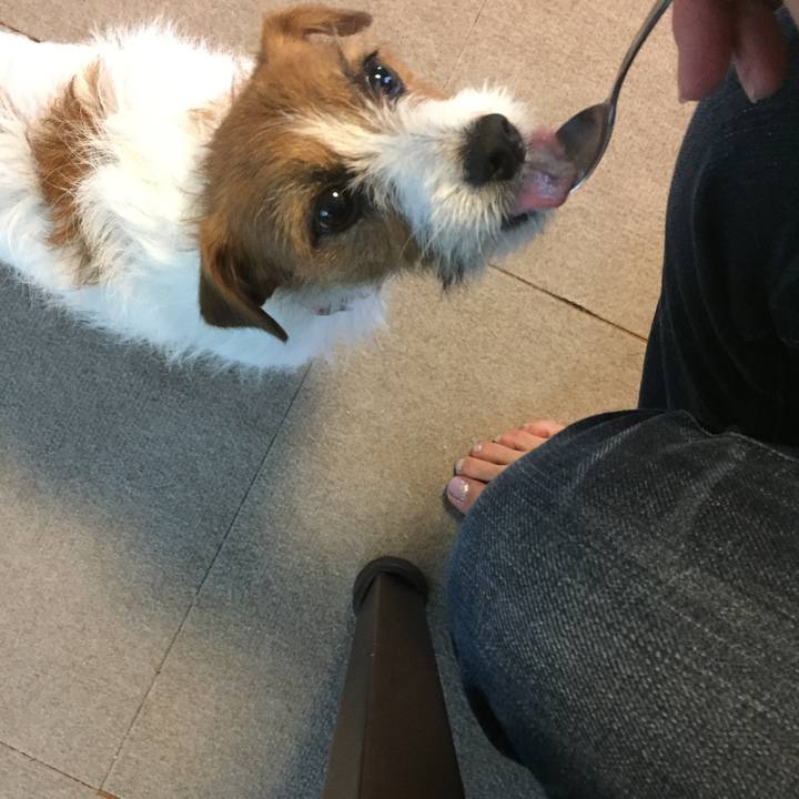 C76d2e0f 1128 460c 8a63 d924aa39ef34