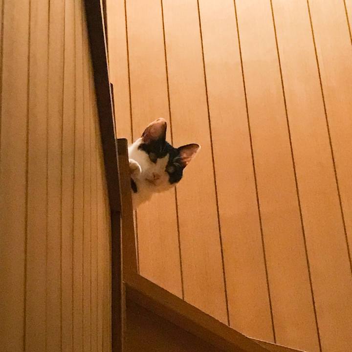 C76d9fa4 22ff 450f 9a11 7afa519c8c4d