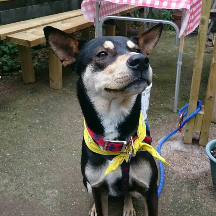 C76dfc35 0fe8 4ab5 b6b4 6edbc43b808a