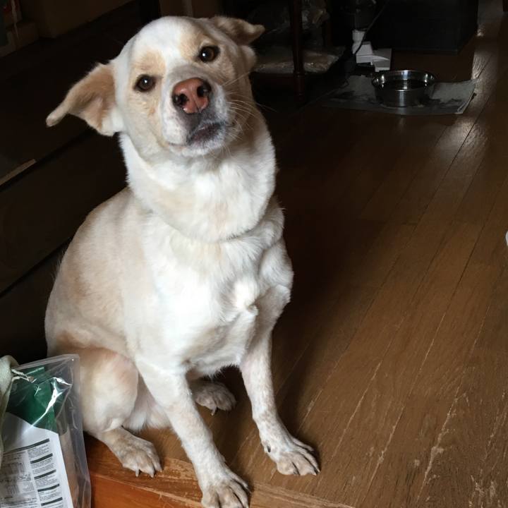 C76ea753 d56f 4ff1 a9d3 b805b0e42646