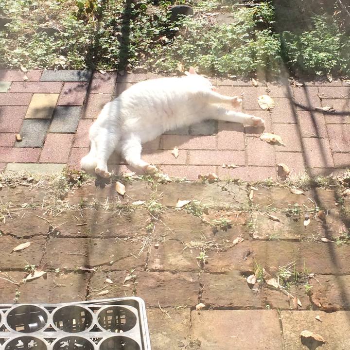 C76f3f35 eaf2 448d 8770 8ed5a9fb3a1c