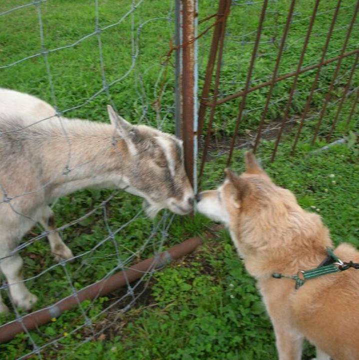 C76f62bf a7d8 4cf6 953c 117f2cc51578