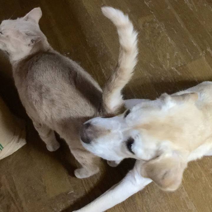 C76f882b 1e5a 4c04 91af 89786092714a