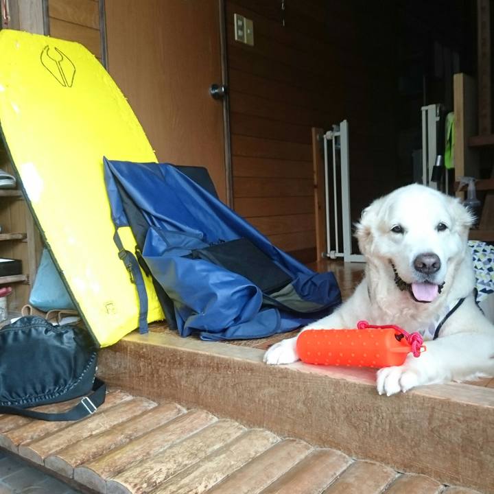 C76f96d0 d25c 40ff a69a 166c4af6b73b