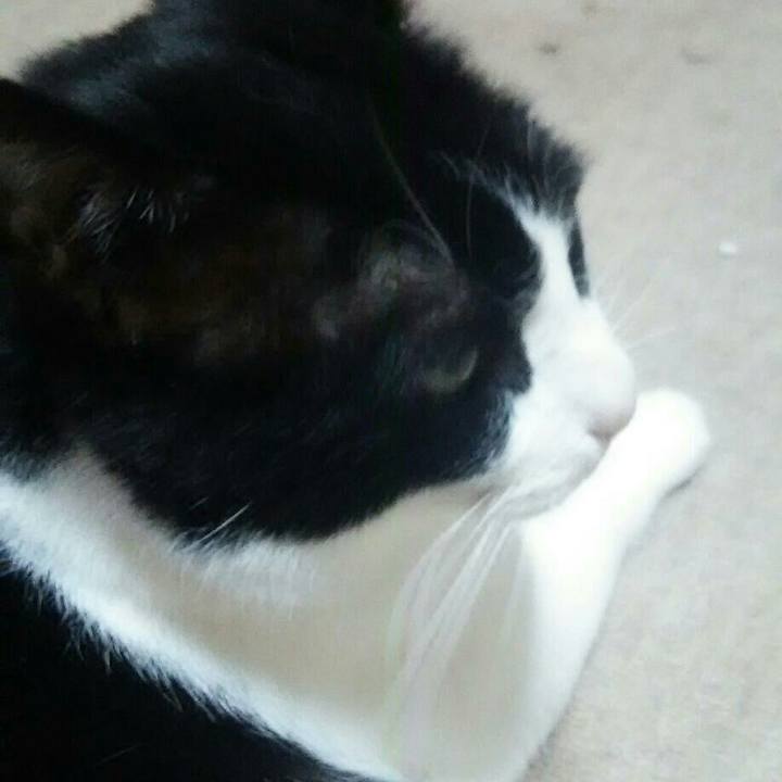 C770294a 18c4 4fe7 aeb3 7906e5a1a034