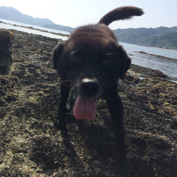 C77058ce 9281 4b70 8e27 4d92e1316f9b