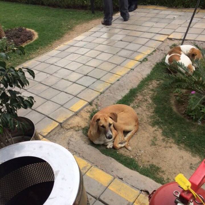 C770e37f 84d0 458a ba48 ea83bb8e2fa1