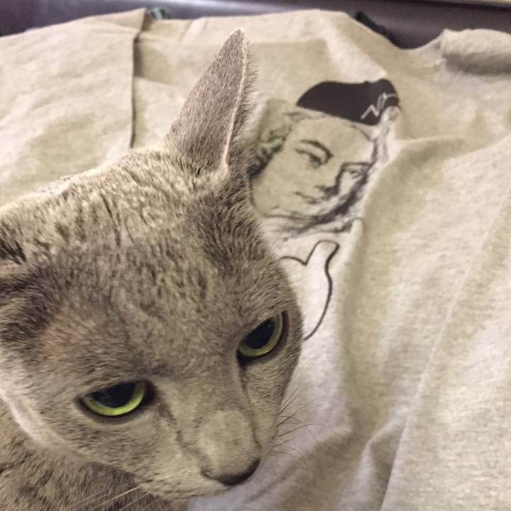 C771138b a622 426c b3c7 c408869eb270