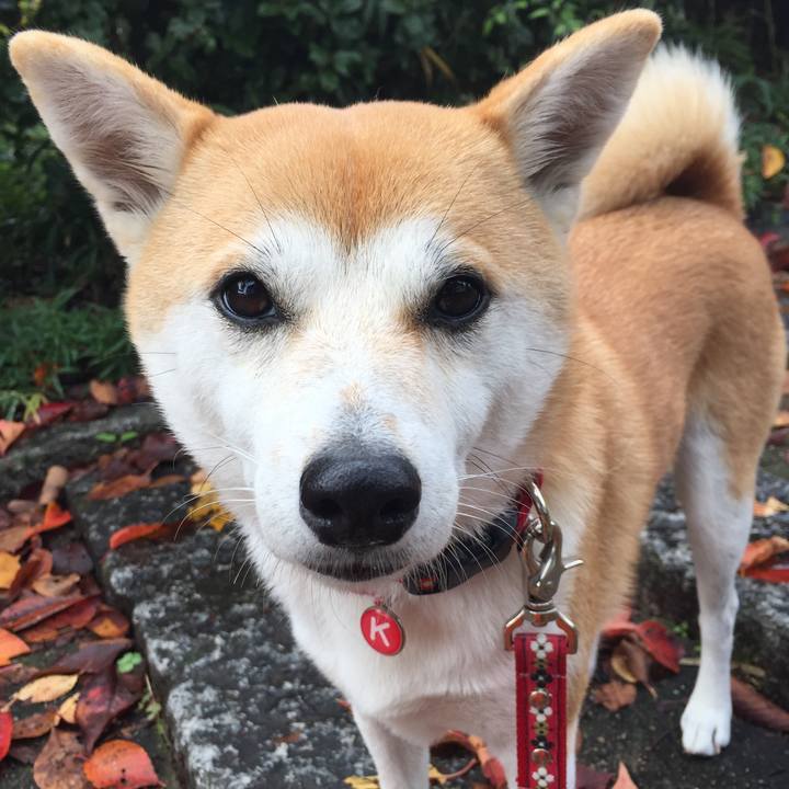 C7715c49 5819 4ddd 90c6 0b4c50b03bd6