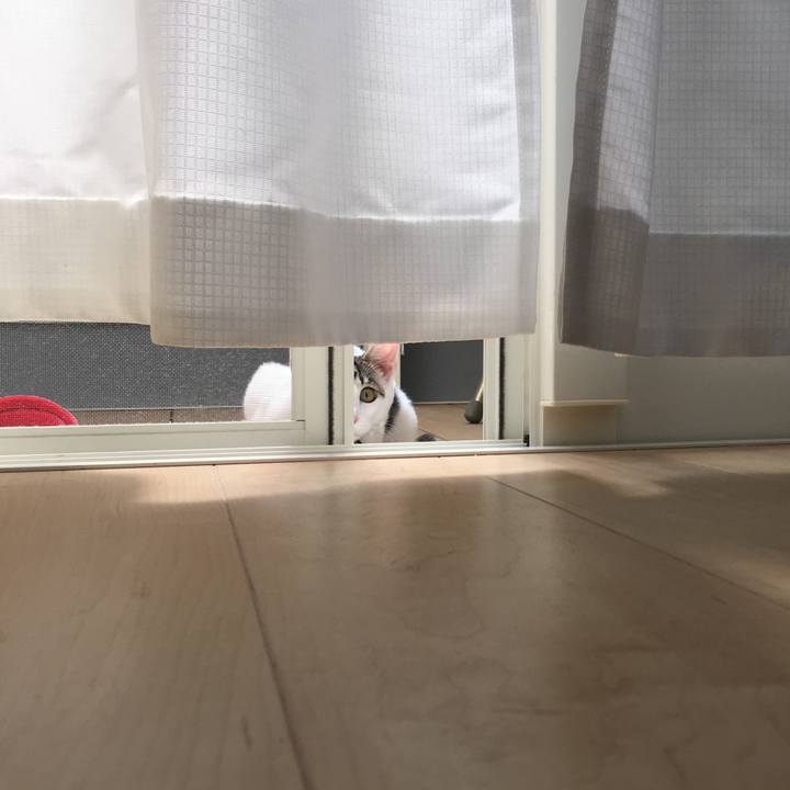 C772b0f0 d1d0 4bdf 84c1 eebd85bfa010