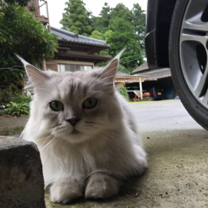 C7736392 f306 4810 b973 2832cf7dbe4c