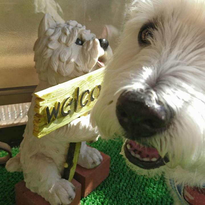 C773b9ce fc98 4885 b65c 8b4fa7035a5a