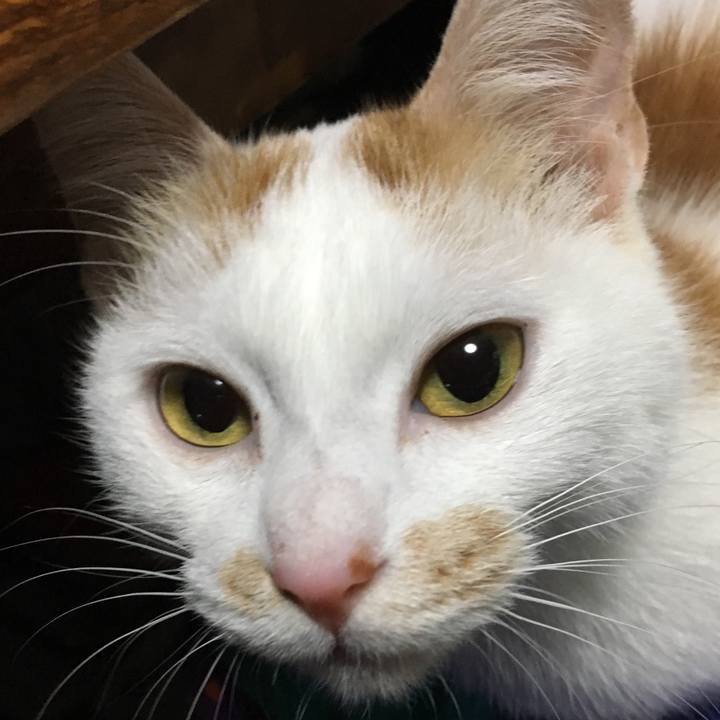 C773d7fe 5803 412b 8999 da9ca3b7e13e