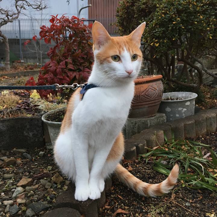 C7740dc3 0e6a 4523 aa7b 6df613e9fbc0