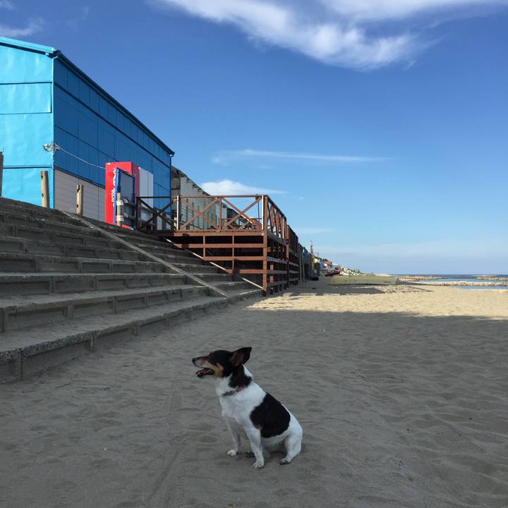 C774ef1e 2362 49a7 8a6a af6dbf8feb21