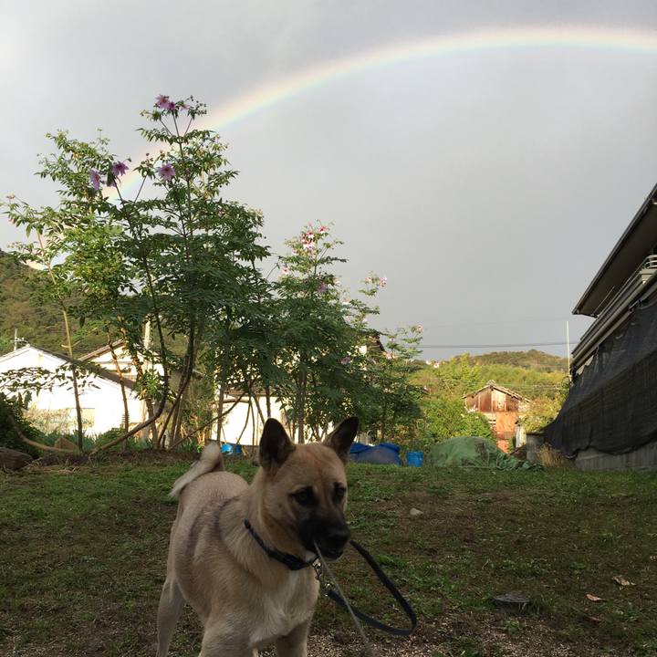 C7751d5a 2b40 4fa8 82fc e2aef1db4d35