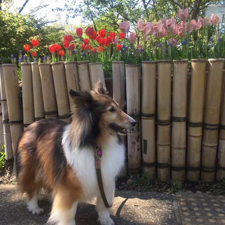 C7752d4e c939 4d54 9c09 dd373857e7fc