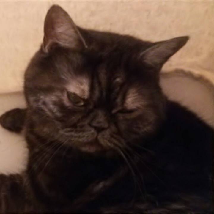 C775851e 8450 490f bd10 25a84f6af12f