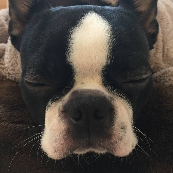 C7758623 0717 4a4e 9955 c781e682c95a