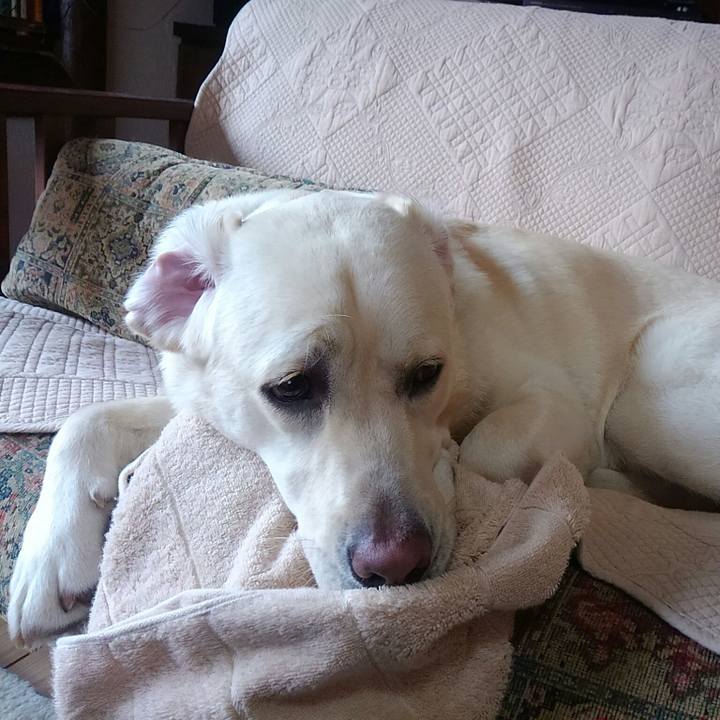 C77586f0 5bc7 4f34 835d 2426aa4f87c4