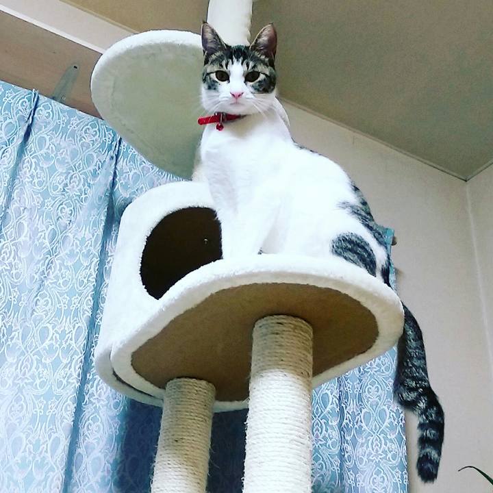 C7759a3b df2d 4bc6 b9aa a71151c36f6c