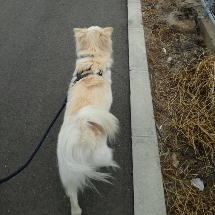 C775dc53 b20f 40b4 9a83 76f4480f1d22