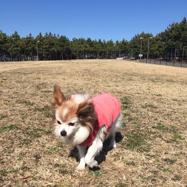 C7763564 aaec 4a7a 9329 f873ebecfa7b