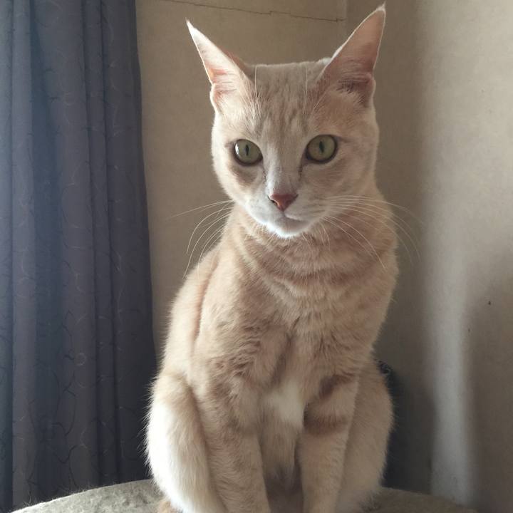 C776bcc7 1c22 4b83 8c09 43e6ccd83c45