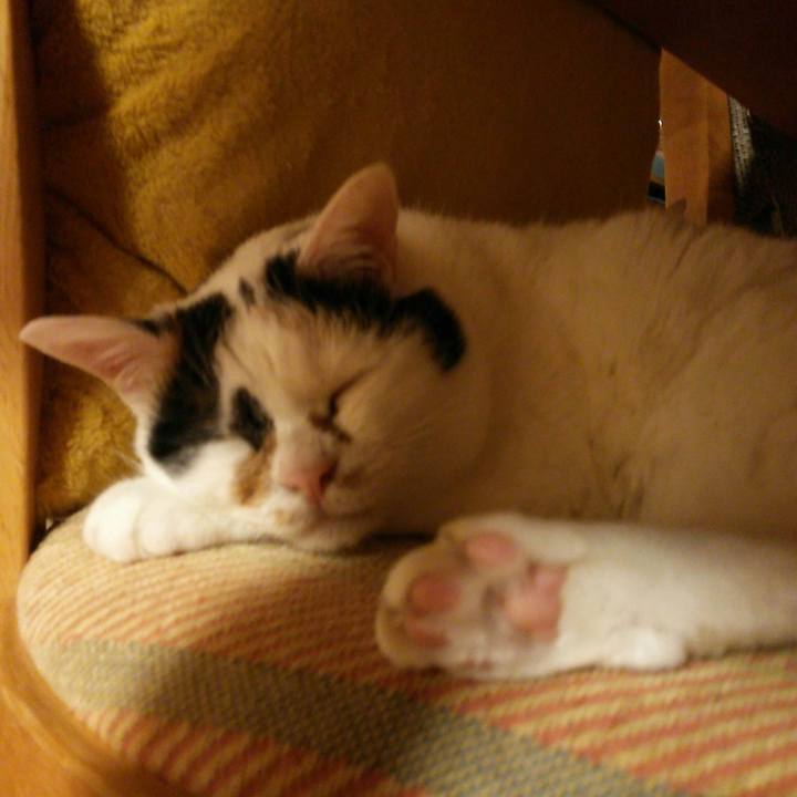 C7775968 3d6a 4337 92ef 697840eb229f