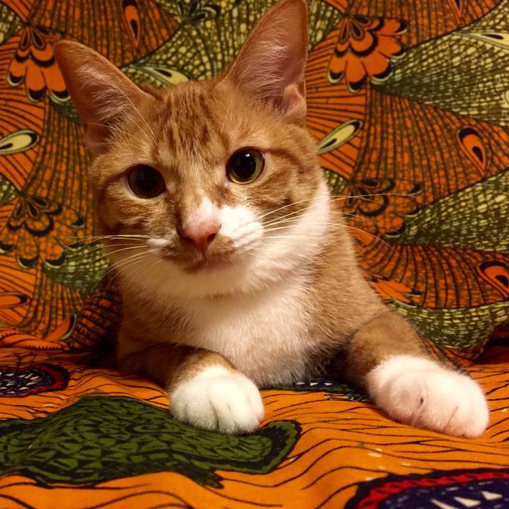 C777c2dc 15ea 4bb7 9ffb ff3eec79dbbf