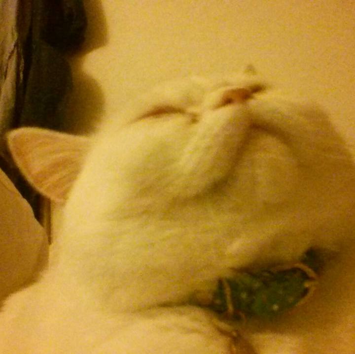 C7797b55 94c4 4b20 87fa 0a3bd5ec5835