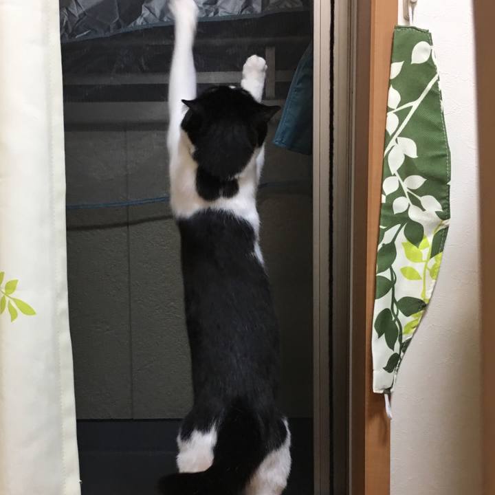 C7797ee0 e8ac 4c3e 8471 adede180cebc