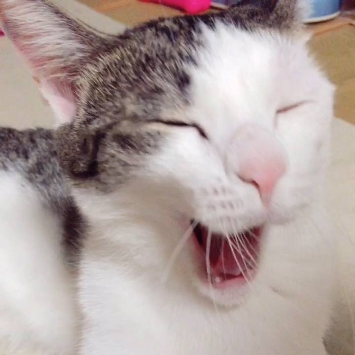 C779801e 221c 40ea 92c6 f67aa187f10c