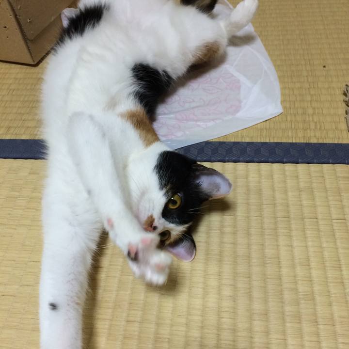 C779b58a 5483 4535 919c 1a51cc2a8d7b