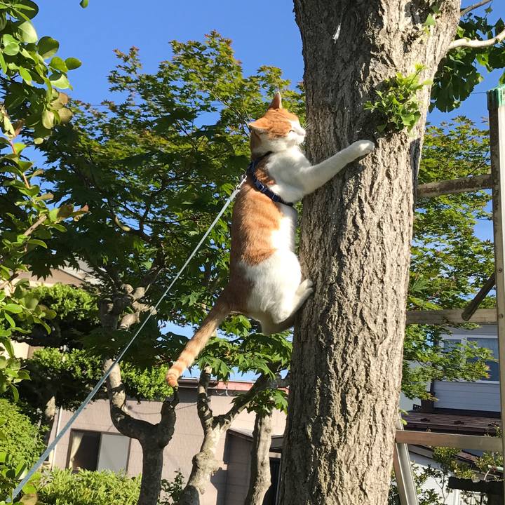 C779d7f5 4f85 4989 b9b8 38fabeaf87fa