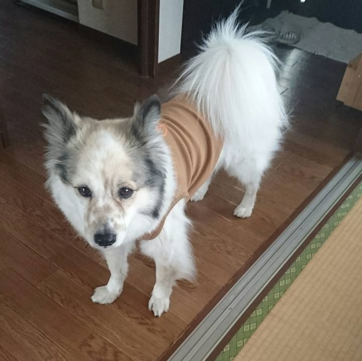 C77a4d8a e7fa 4b79 9951 f2a5e5958af3