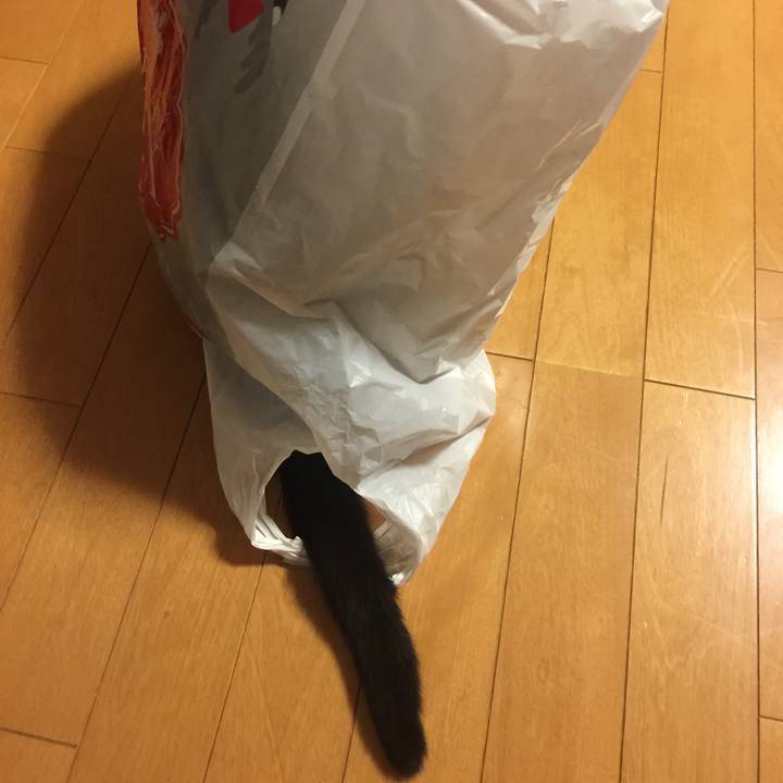 C77ae179 9340 4e9b a894 d7d1ad577050