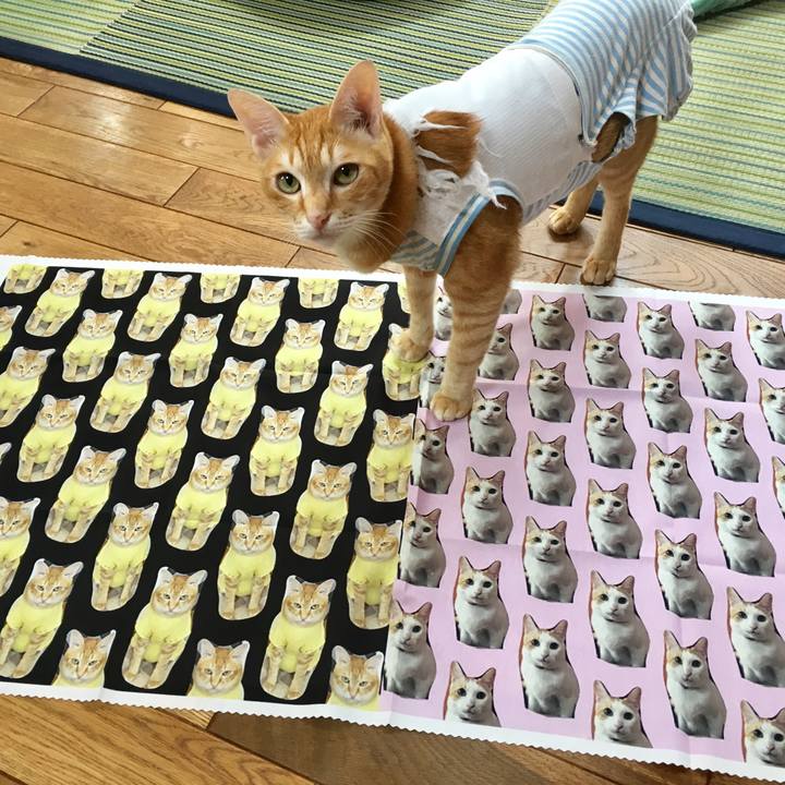 C77b58a2 f6d2 432f b96c 0eb1fec75de9