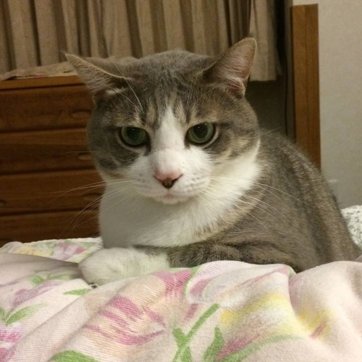 C77b600f 5c7f 42d9 a76e e41834396e83