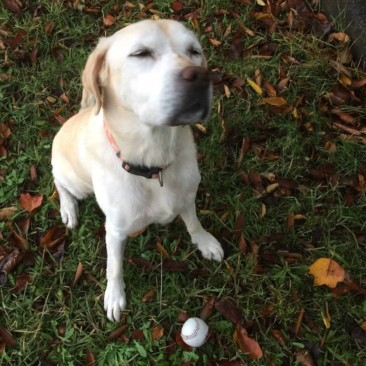 C77b6237 cd85 4bad 8332 3b07234615cd